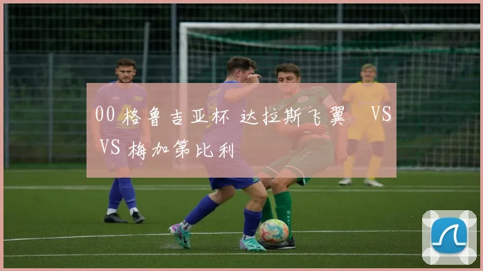 00 格鲁吉亚杯 达拉斯飞翼 VS VS 梅加第比利
