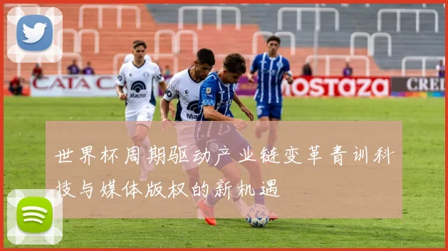 世界杯周期驱动产业链变革青训科技与媒体版权的新机遇