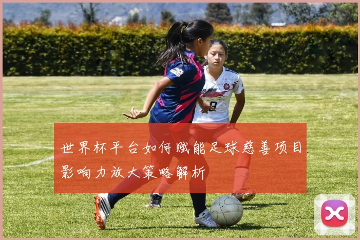 世界杯平台如何赋能足球慈善项目影响力放大策略解析