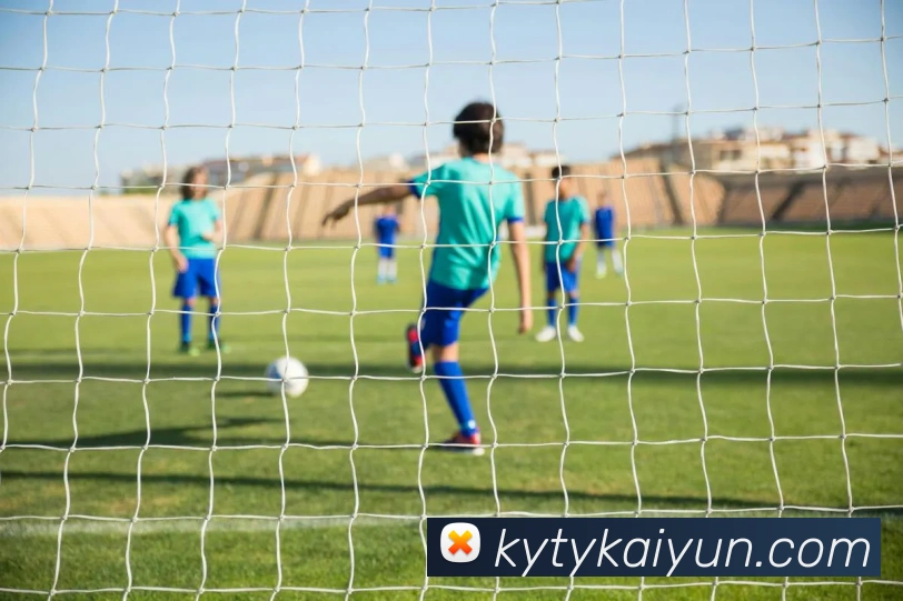 开云体育APP 体育赛事宣传图