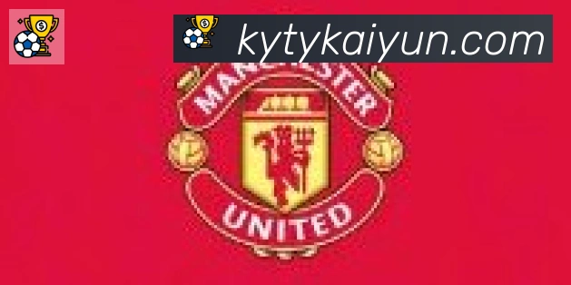 开云体育合作伙伴